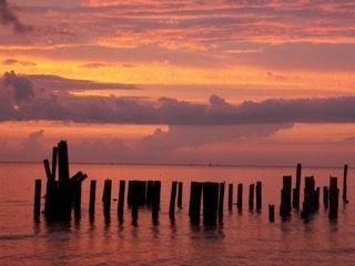 Old pilings at sunset